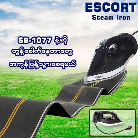 Pathein Escort Steam Electric Iron (SB1077)